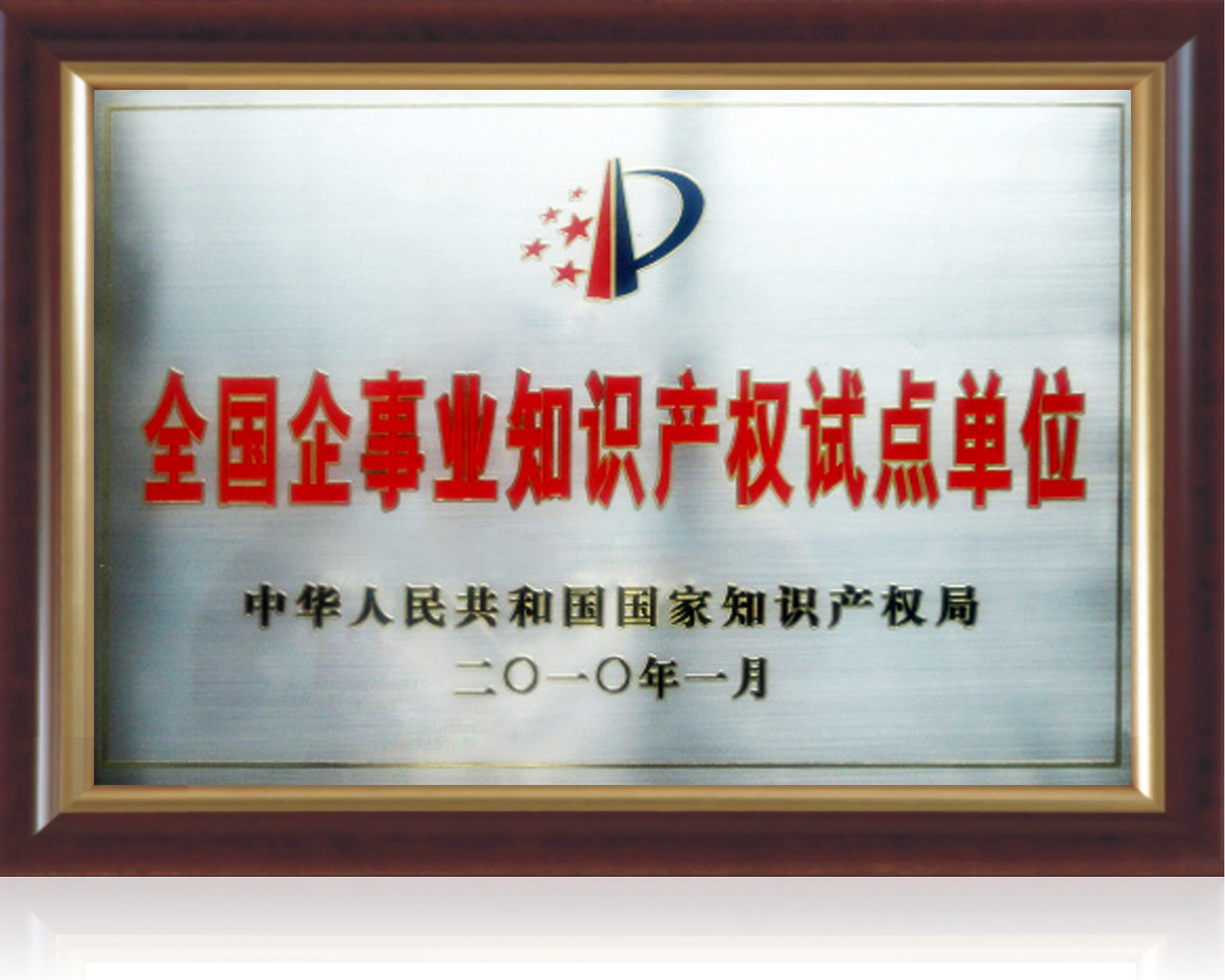 全國企事業知識產權試點單位.jpg