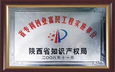 陜西省專利創業富民工程實施單位（2008）