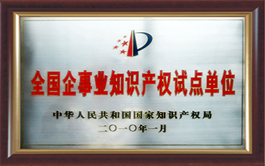 全國企事業知識產權試點單位（2010）