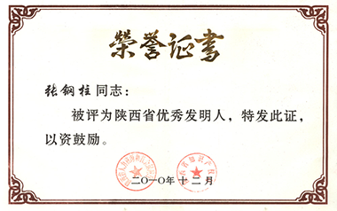 陜西省優秀發明人（2010）